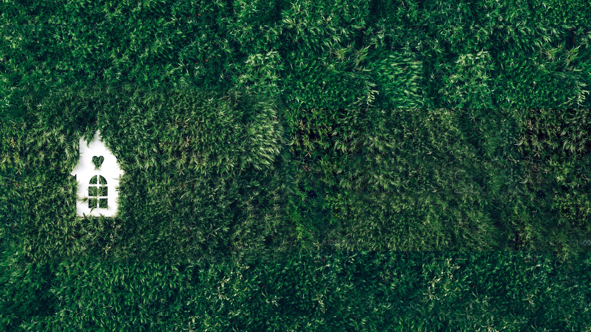 parallax background